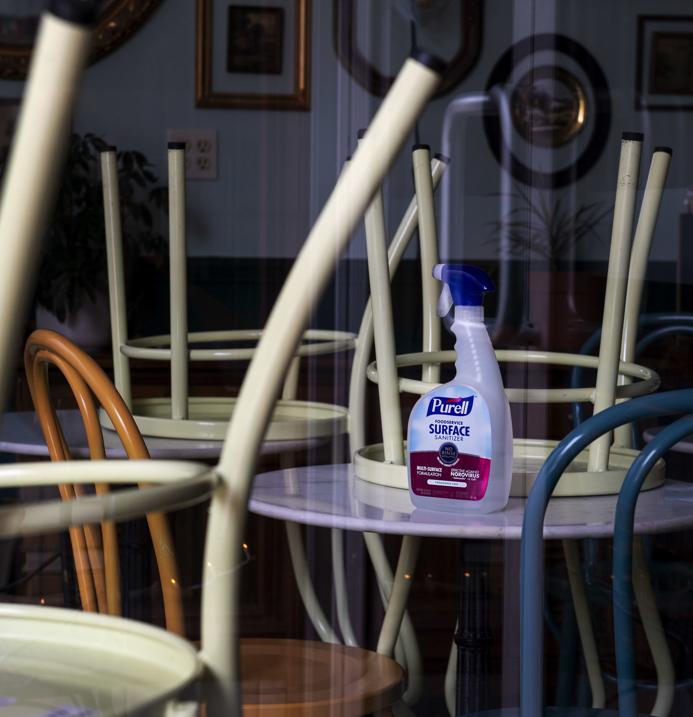 Surface sanitizer
